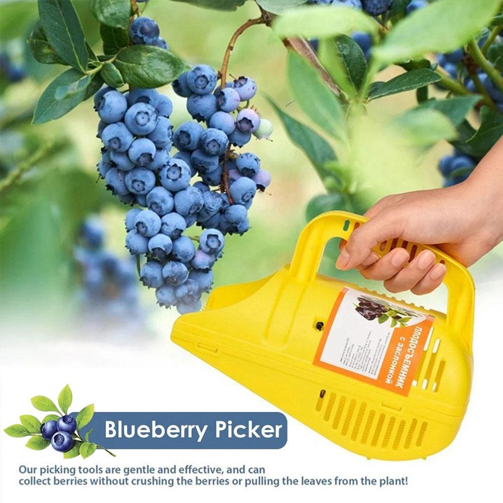 Alat Pemetik Blueberry Easy-Gr - Gardening Tools Must Haves ulasan dan harga