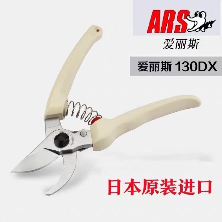 Gunting pangkas, peralatan tam - Gardening Tools In Japan ulasan dan harga