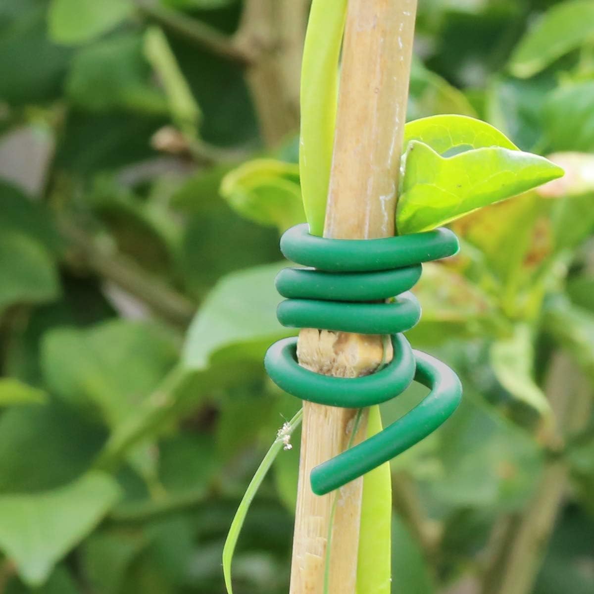 Pengikat Tanaman Merambat Kare - Garden Wire Twist Tie ulasan dan harga