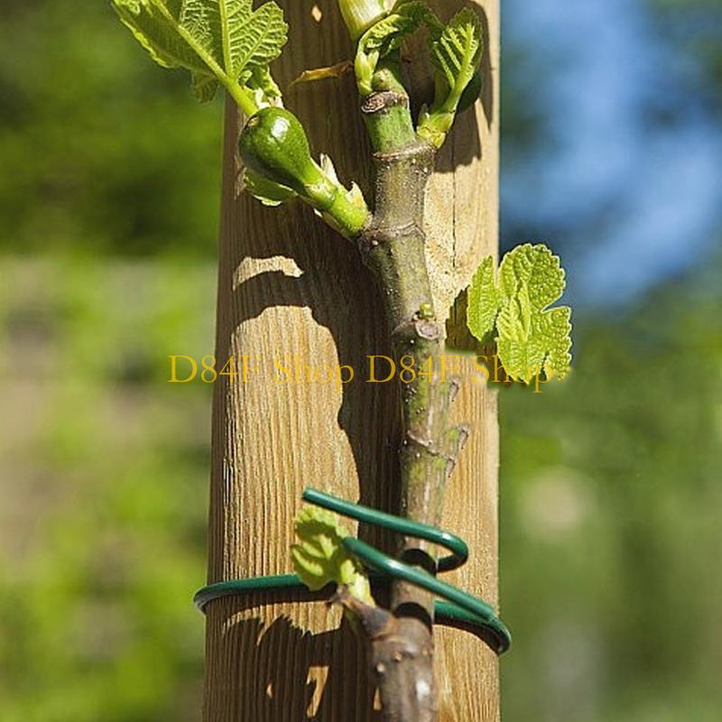 D84F 2.5Mm X 10M Hijau Lembut  - Garden Wire Twist Tie ulasan dan harga