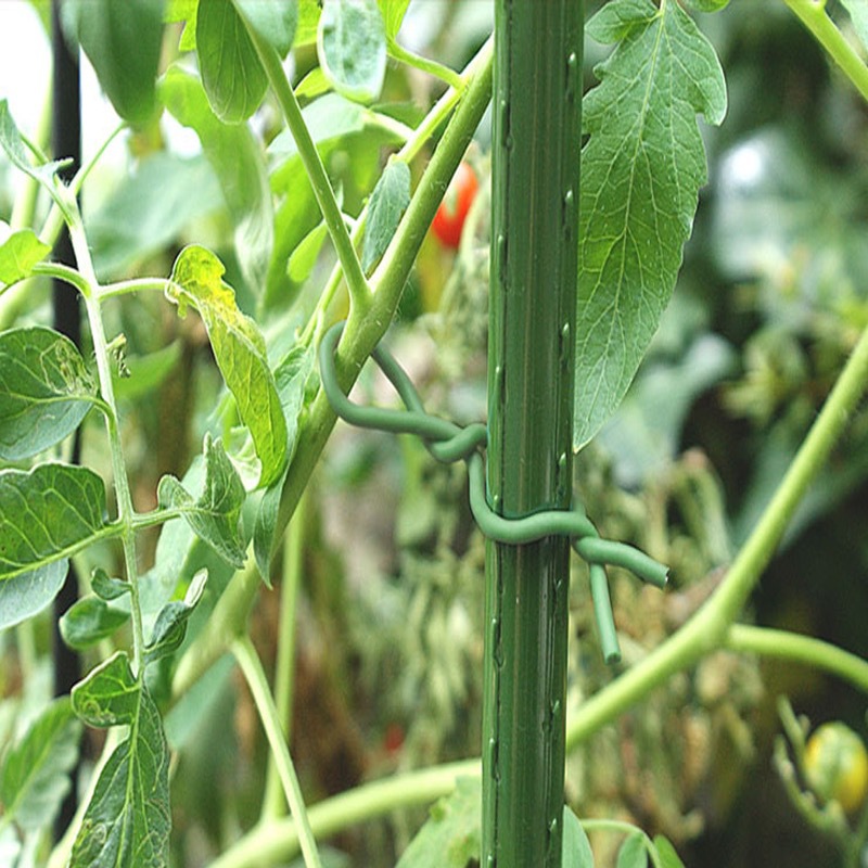 Tanaman Berkebun, Dapat Diguna - Garden Wire Twist Tie ulasan dan harga