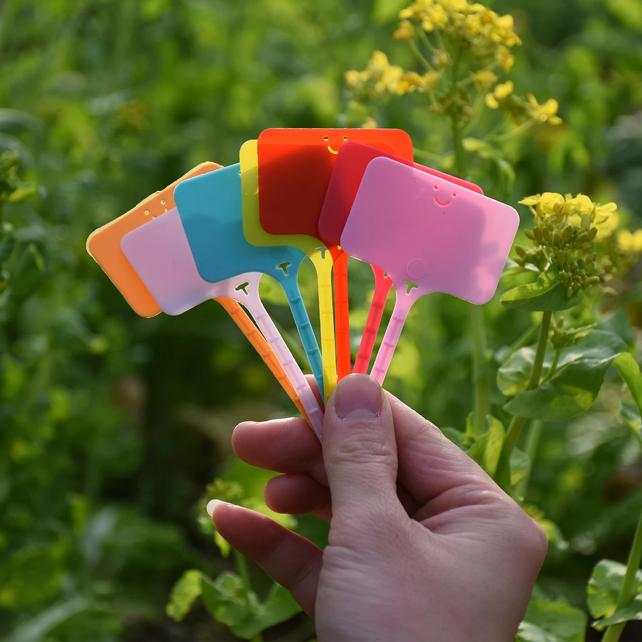 50 buah label tanaman kebun ta - Gardening Tool Diy ulasan dan harga