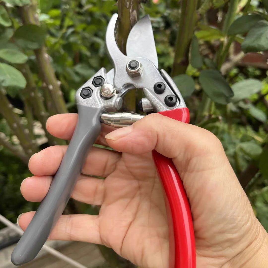Gunting Pangkas Taman Jepang V - Gardening Tools In Japan ulasan dan harga